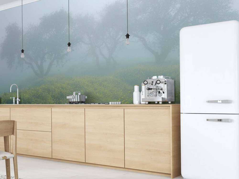 Bomen in dichte mist