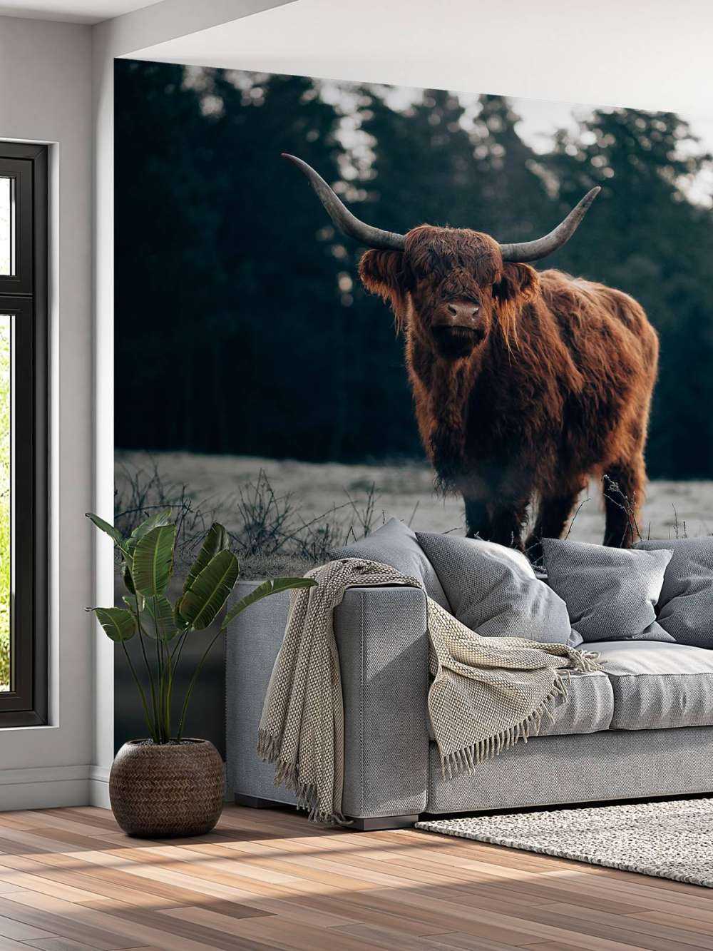 Old highlander