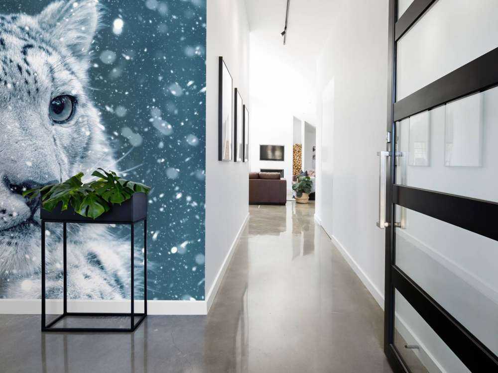 Snow leopard