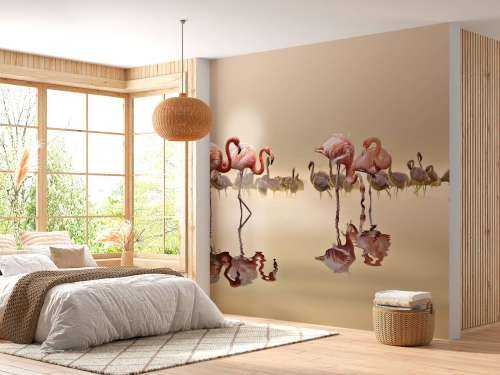 Flamingo Family