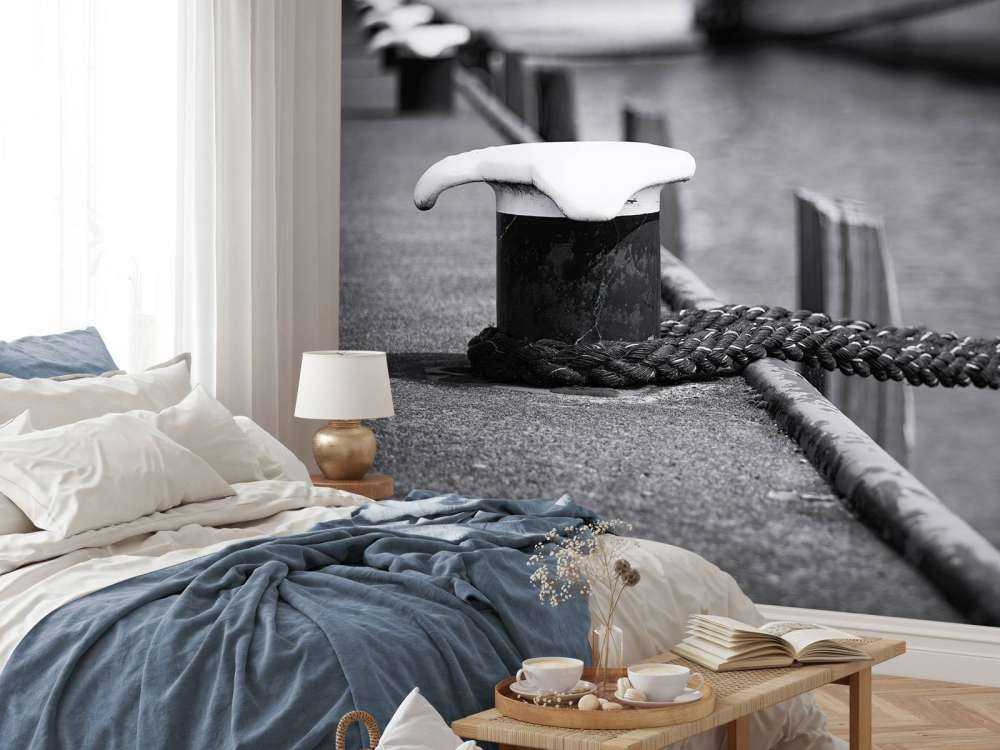 Moored passenger ship  