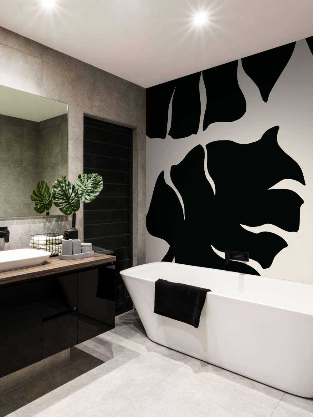 Monstera Black