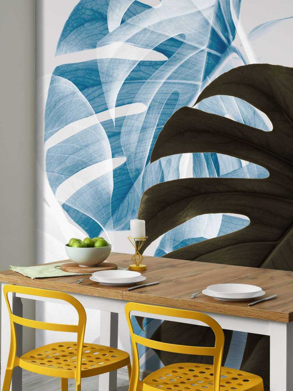 Monstera Creative 02