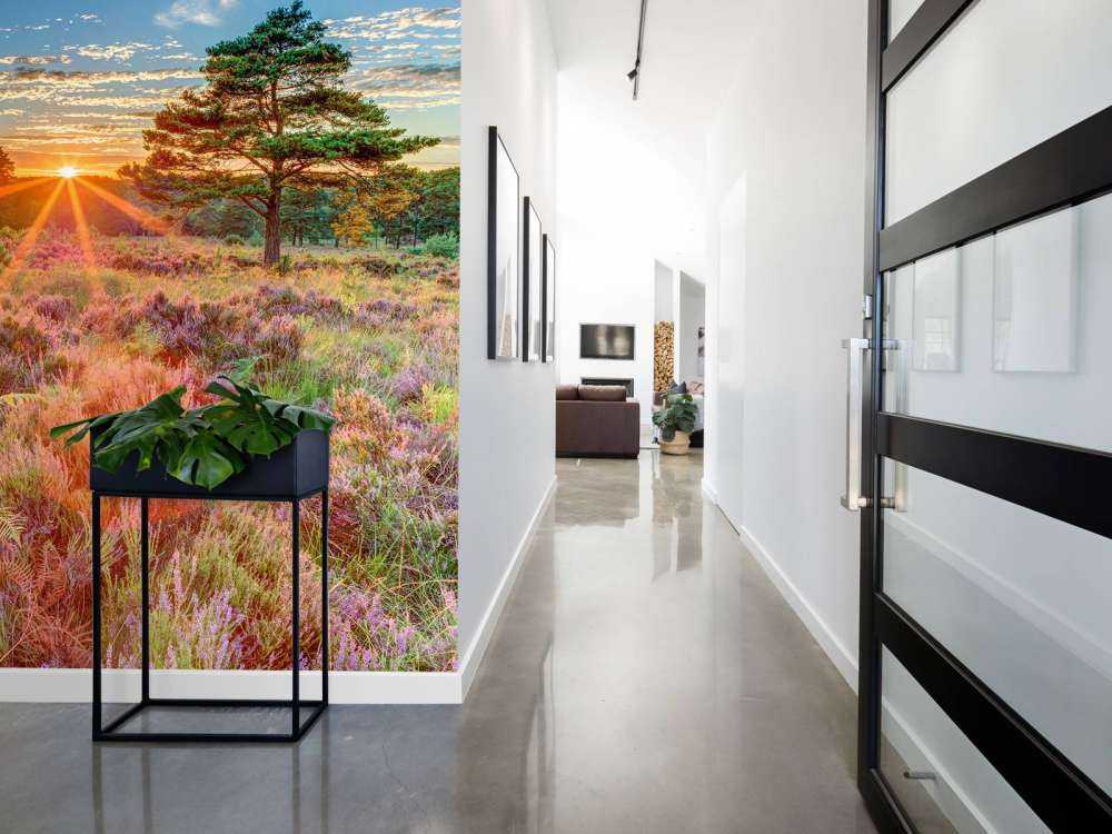 Sunset in the country