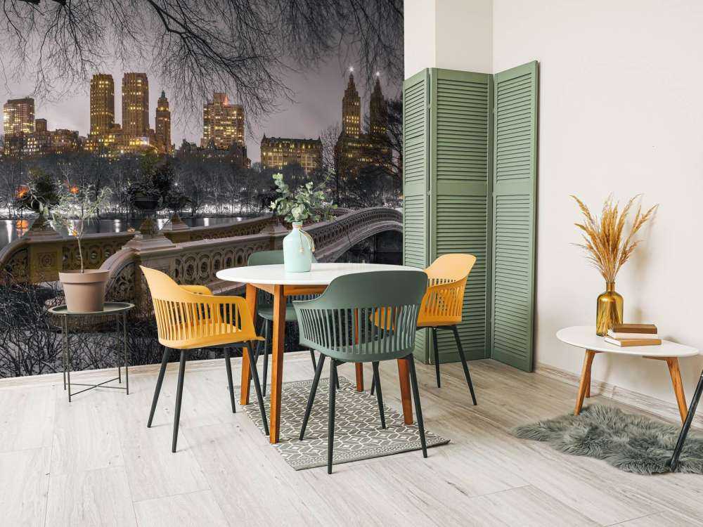 Central park and Manhattan