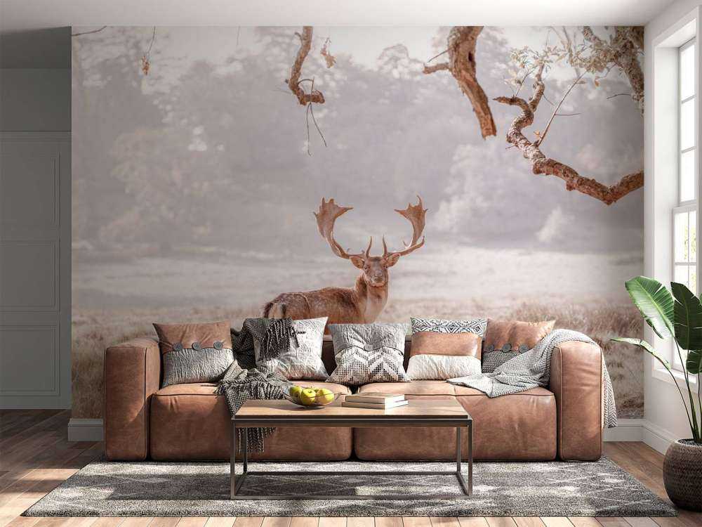 Deer in a field