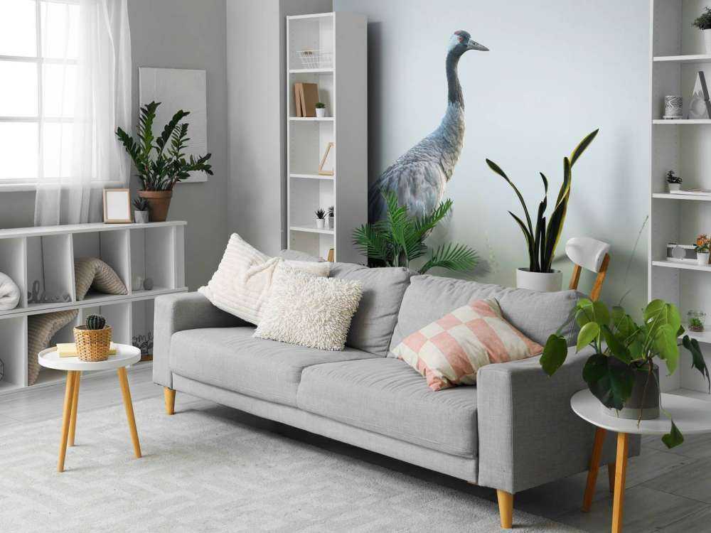 Crane in the morning mist