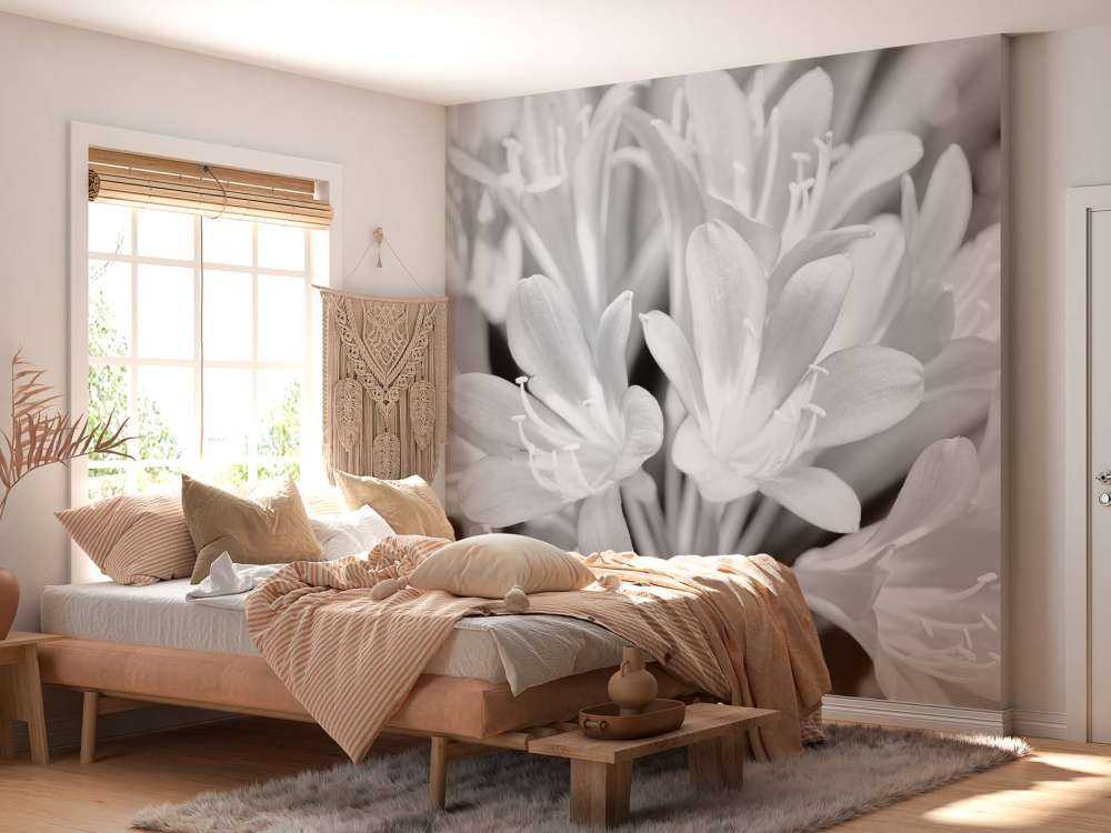 Flowers in bloom, black and white
