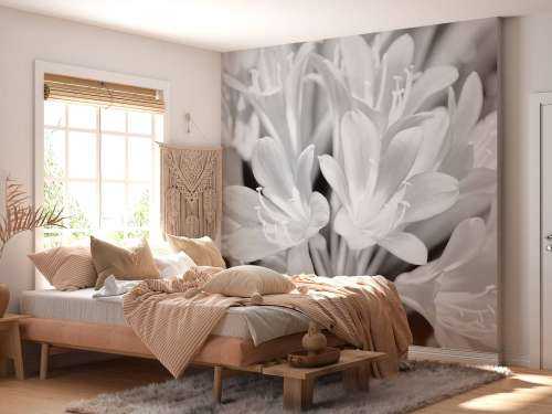 Flowers in bloom, black and white