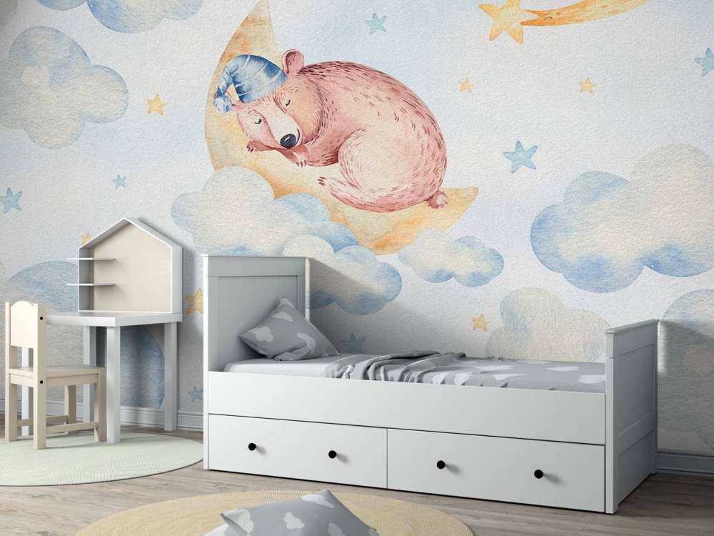 Sleeping bear in the clouds