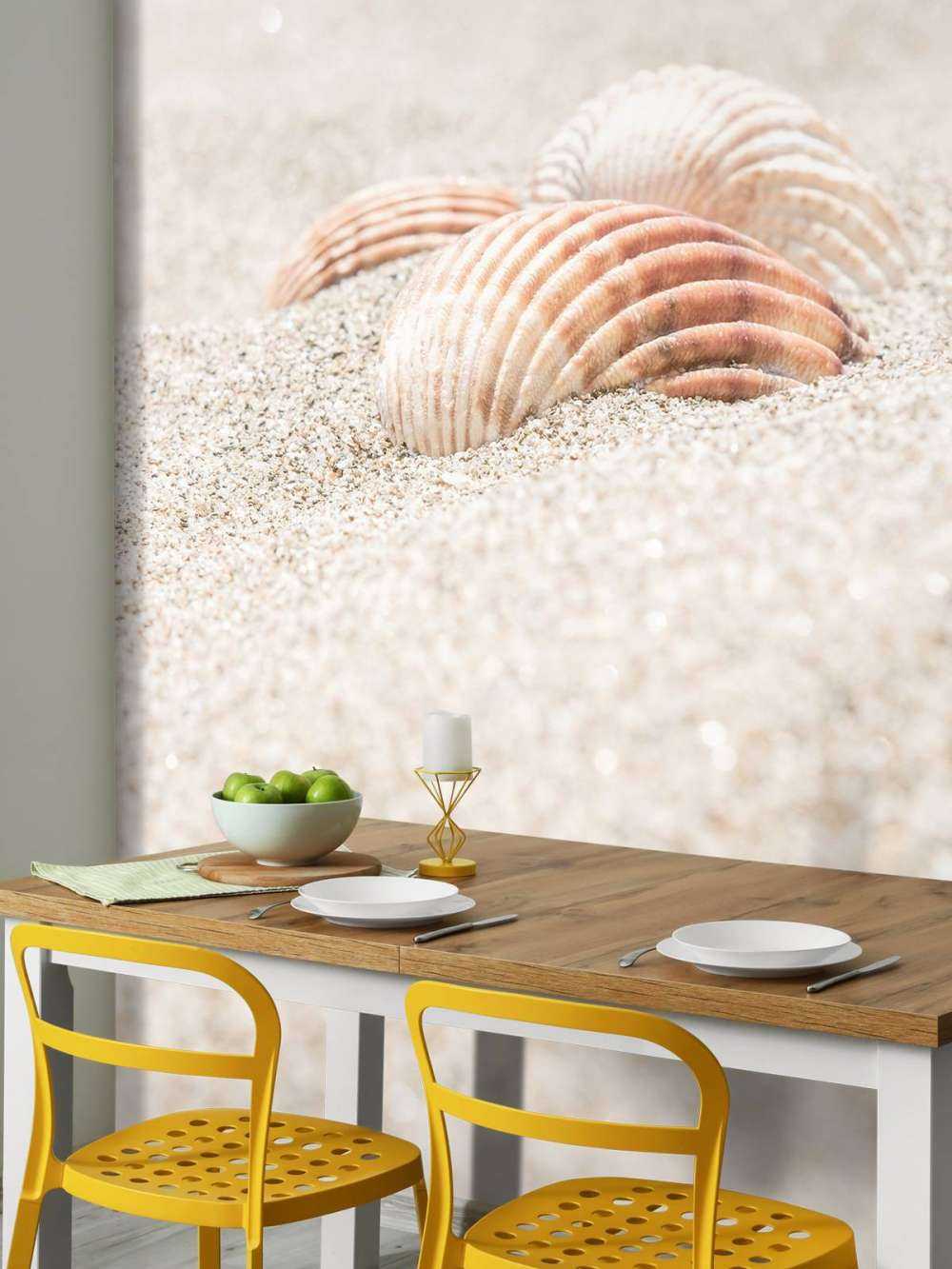 Shells on beach