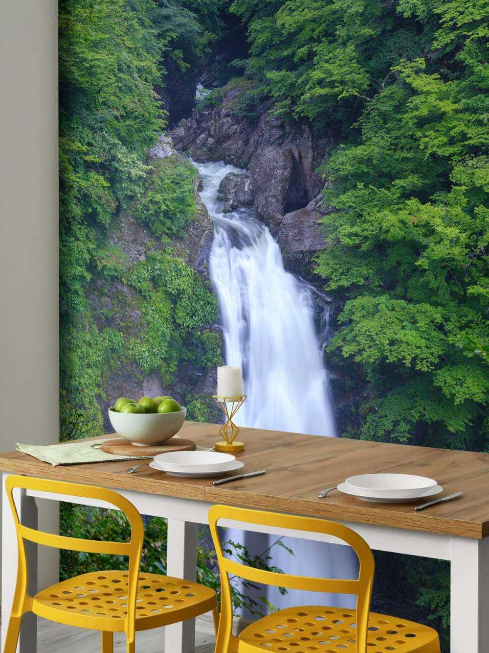 Dichtbegroeide waterval