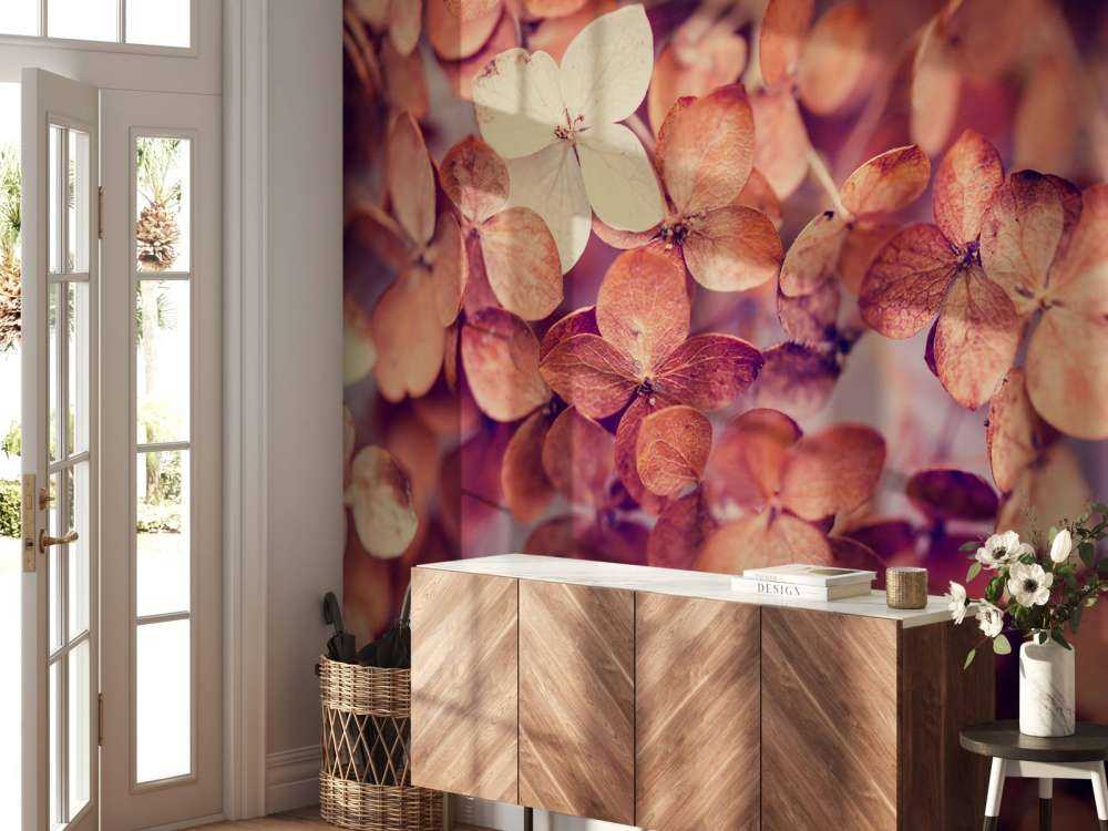 Dry hydrangeas