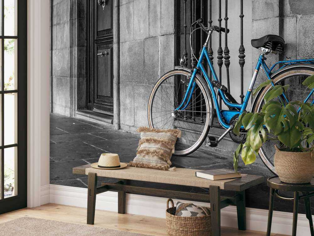Old blue bike