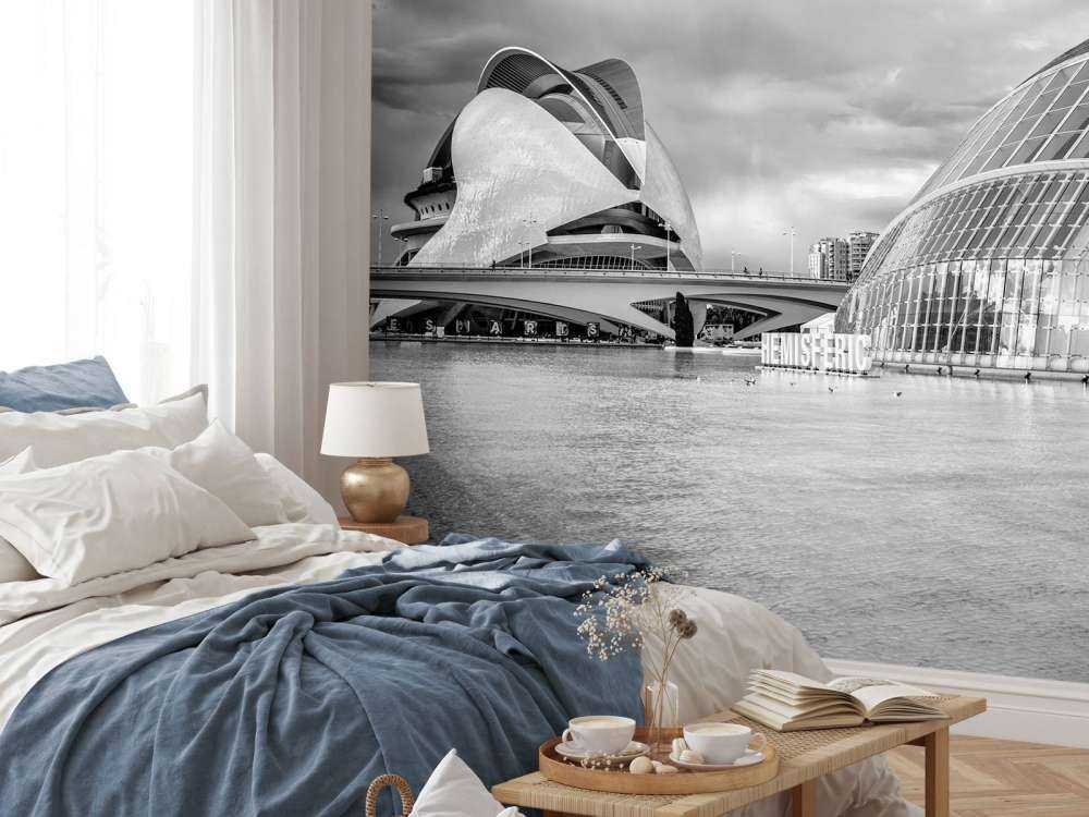 Opera House - Palau de les arts Reina Sofia & Hemisfèric - Valencia