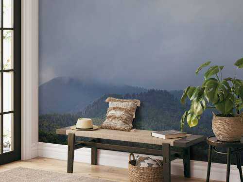 Clouds over trees in the mountains