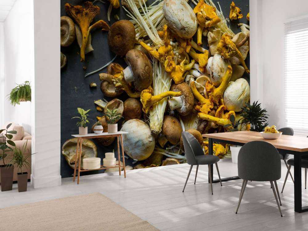 Different mushrooms