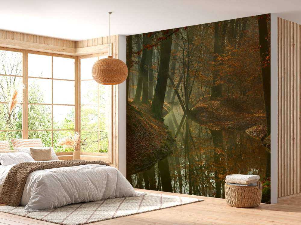 River through the forest
