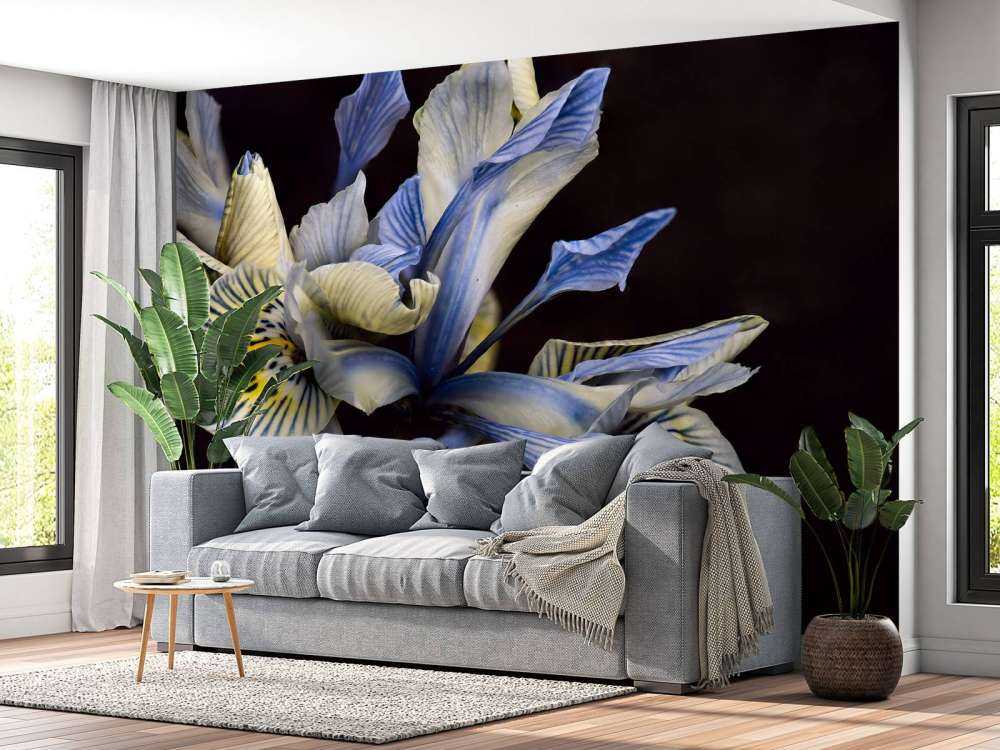 Blue Irises