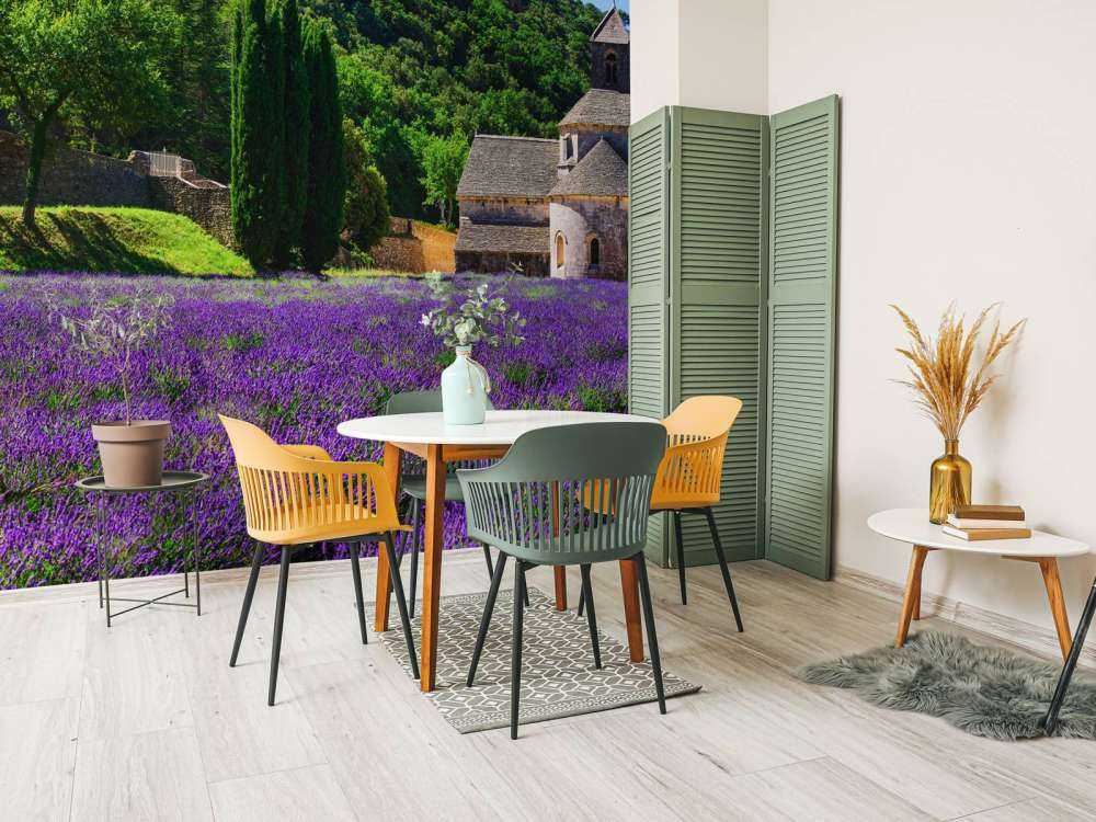 Fairy lavender field