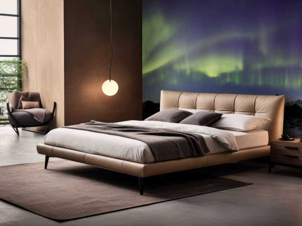 The beautiful northern lights