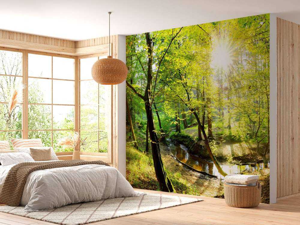 Forest with brook