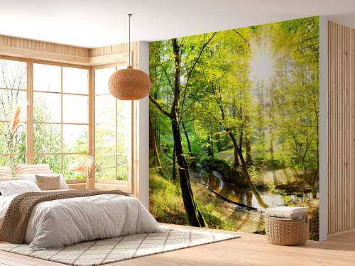 Forest with brook