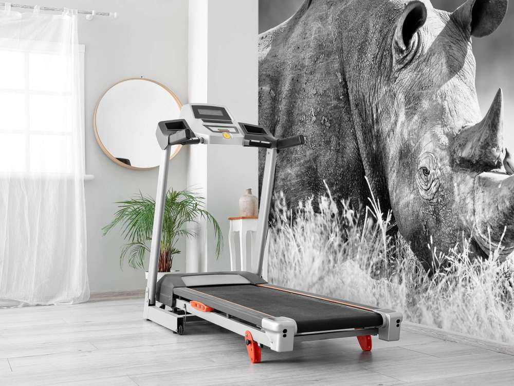 Neushoorn in zwart-wit