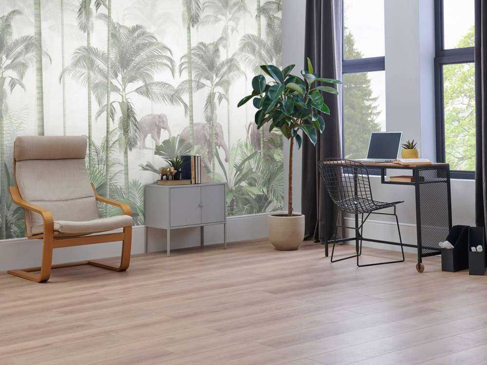 Dawn in the Wilderness