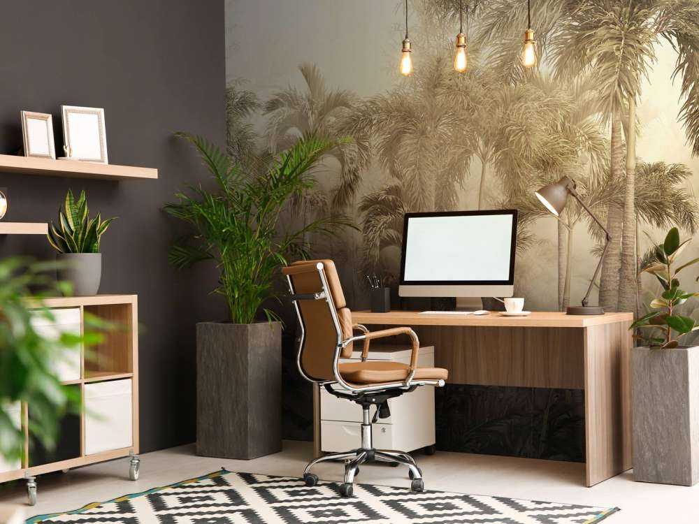 Tropical Mist Beauty