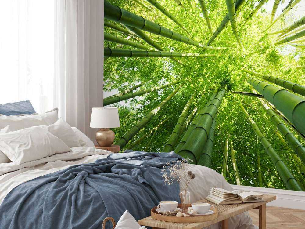 Bamboo