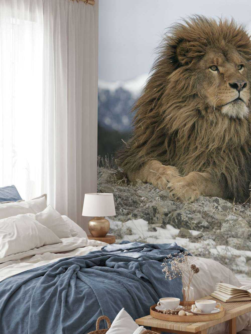Barbary lion