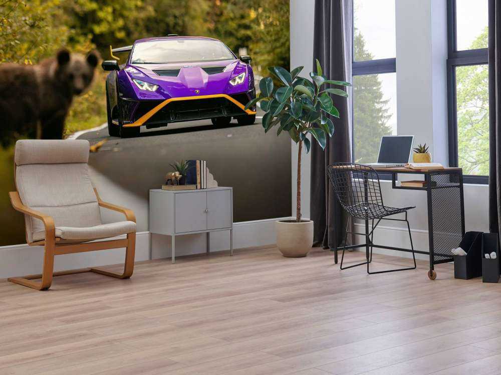 Lamborghini vs. wilderness