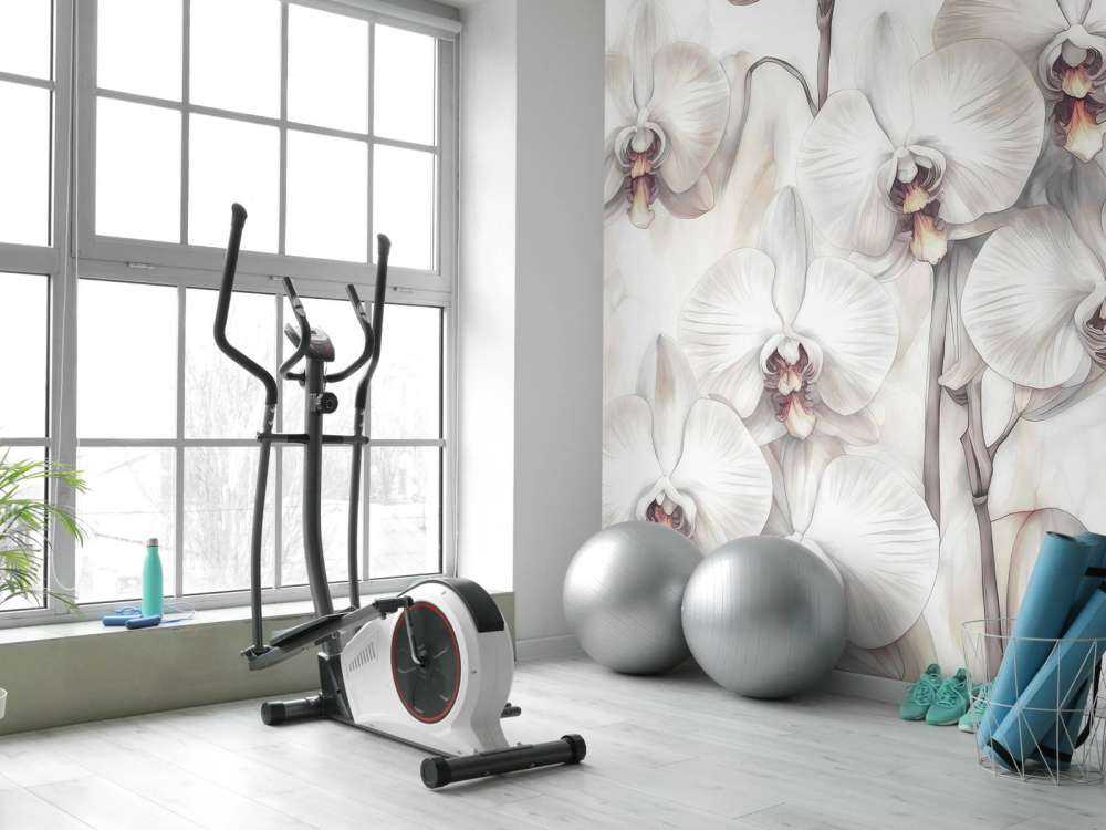 Orchids Paradise Orange