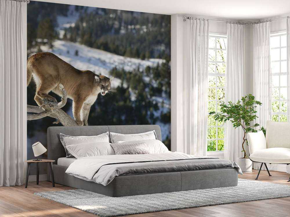 Mountain lion on a dead tree