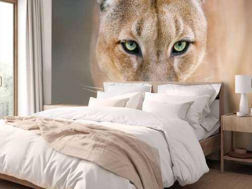 Puma close-up