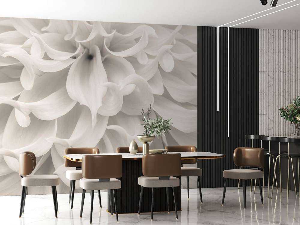 Close-up of Dahlia flower