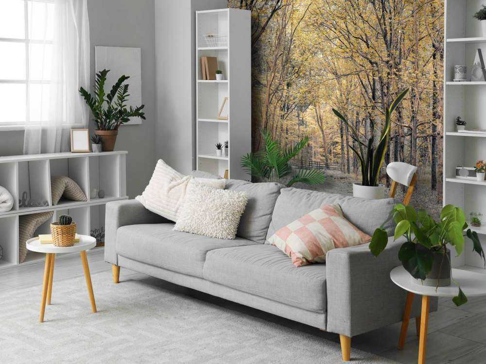 Forest road during autumn