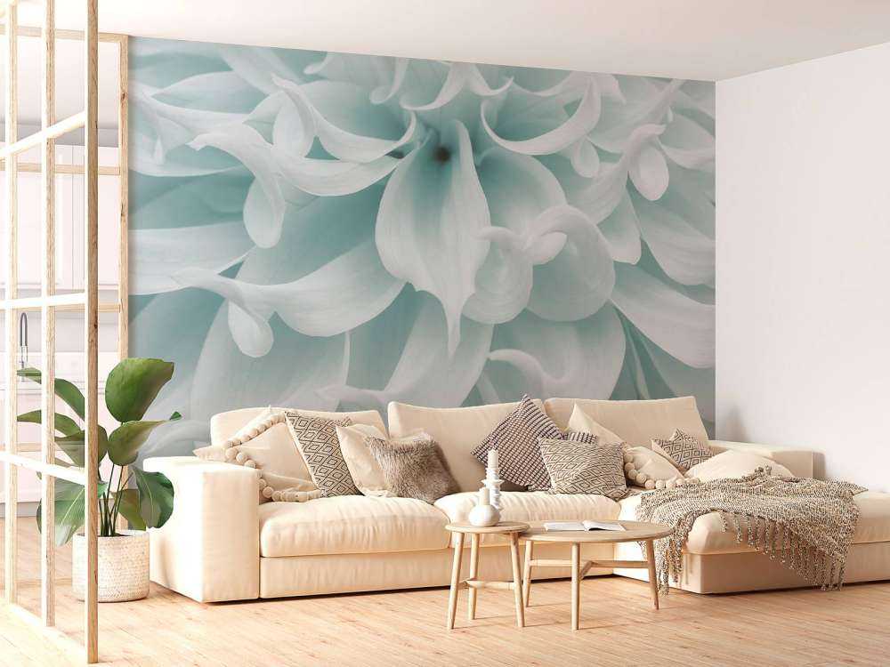 Light colored dahlia