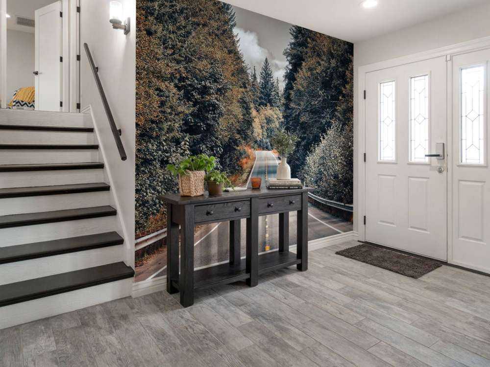 Forest along an American road