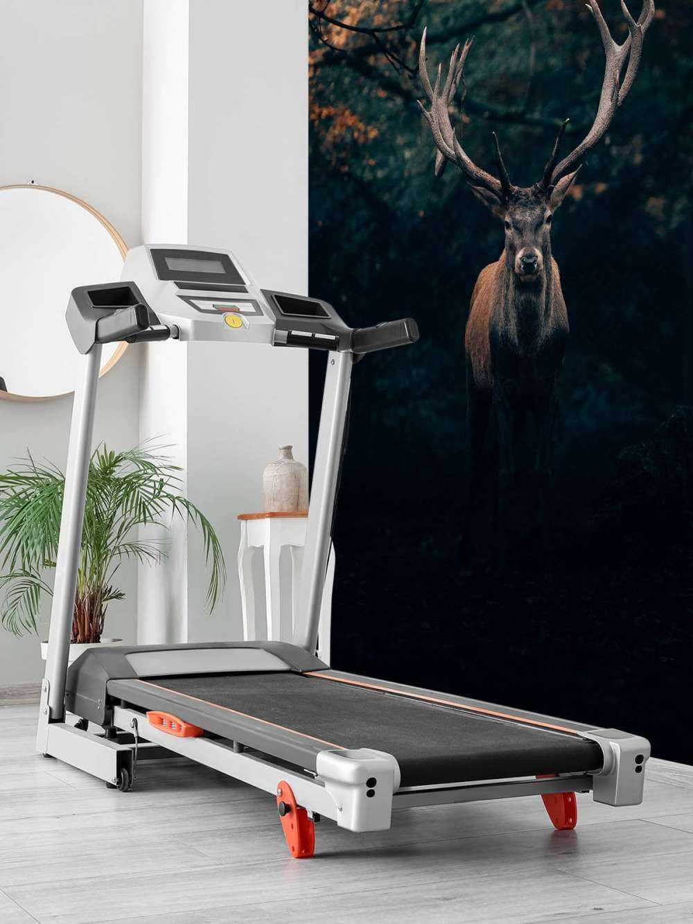 Fallow deer in the woods