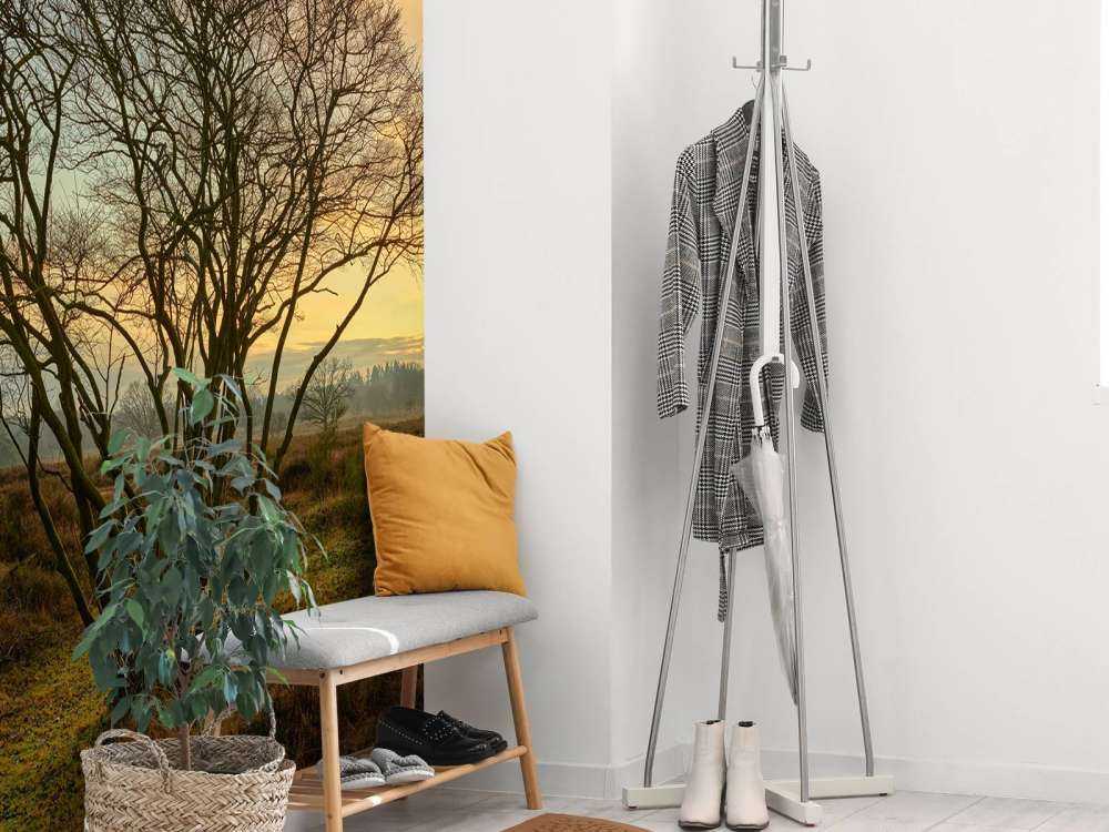 Sunrise on the heath