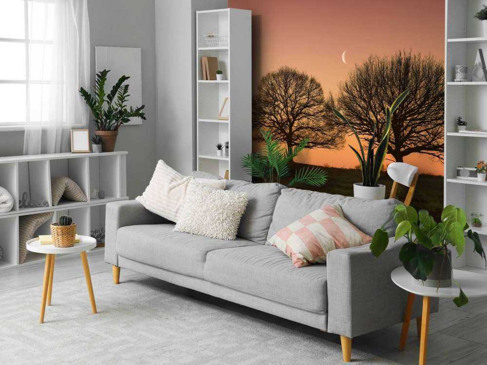 Moon between the trees