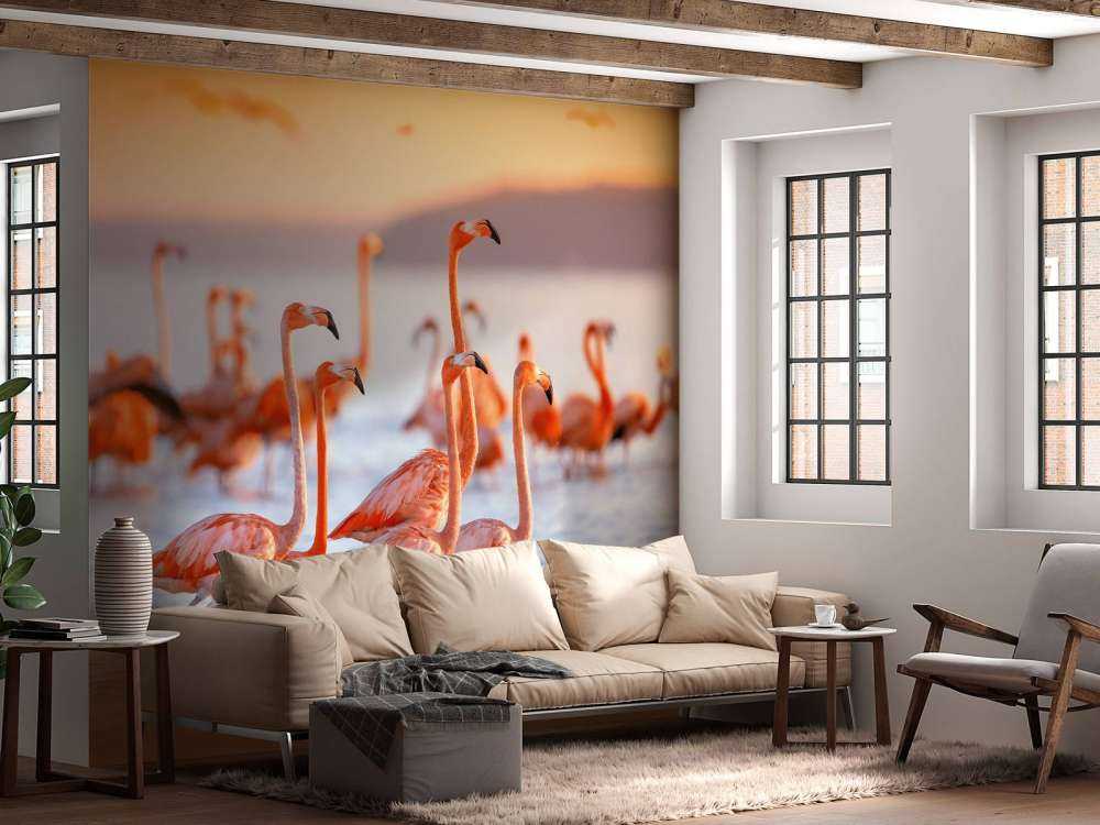 Staring flamingos