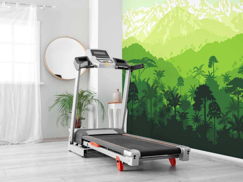 Jungle trees and high mountains