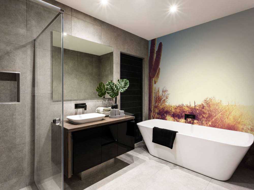 Cactus in the desert