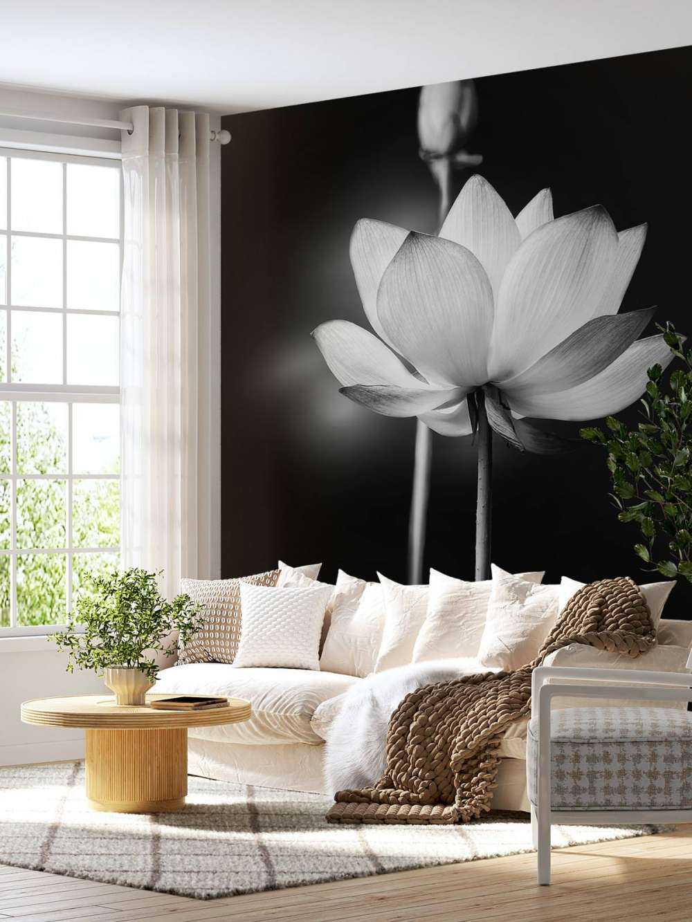 Lotus flowers black and white