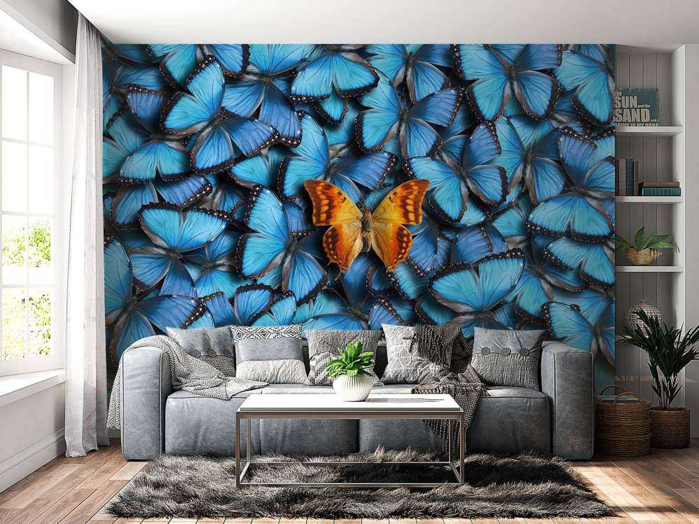 Butterfly composition