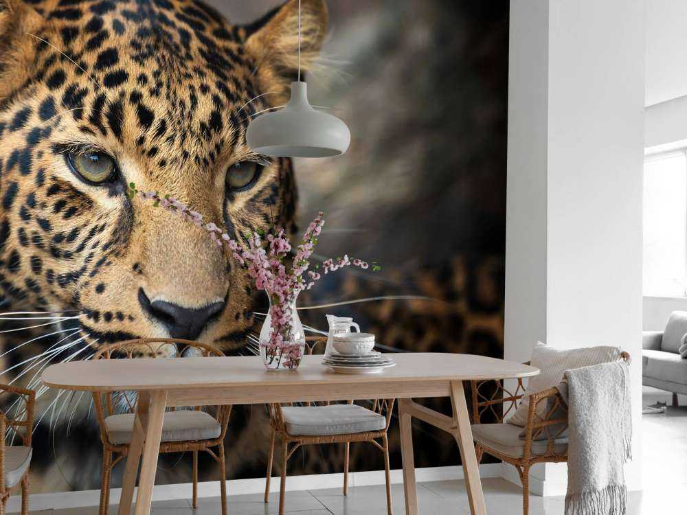 Close, up of a leopard