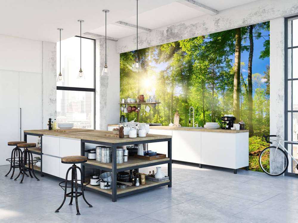 Forest with sunbeams